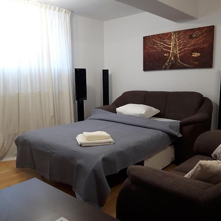 Papas Apartments Bucurestii Noi Room photo